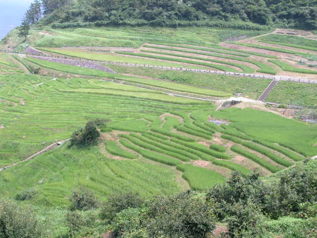 輪島棚田