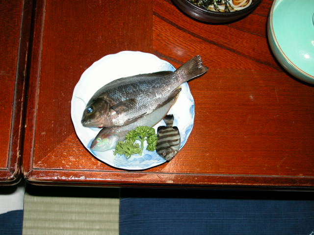 釣りの成果